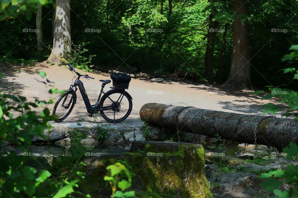 cycling in the forest