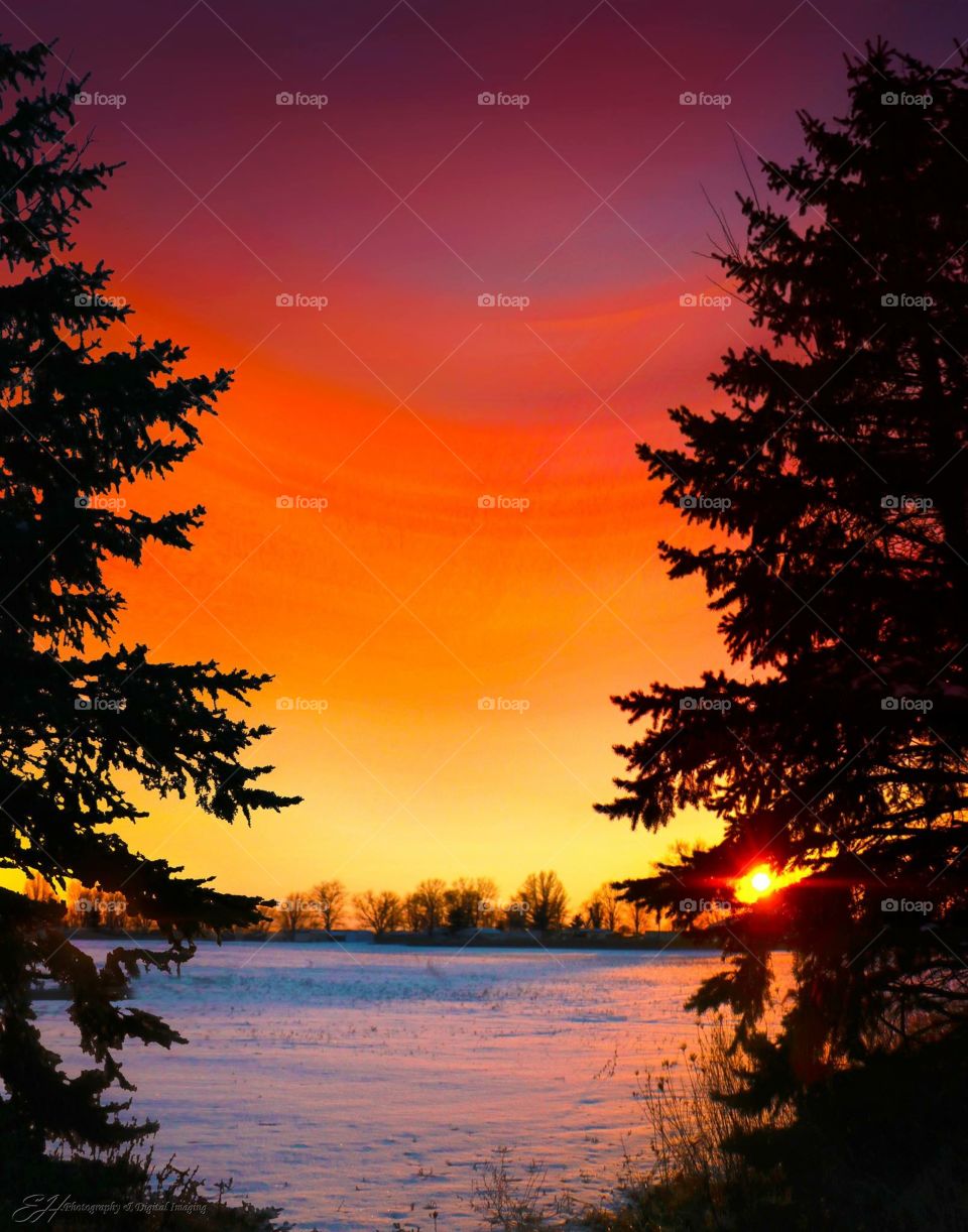 Winter Sunset 