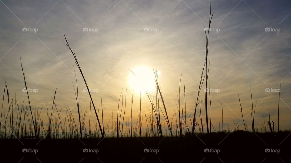 another Shem creek sunset
