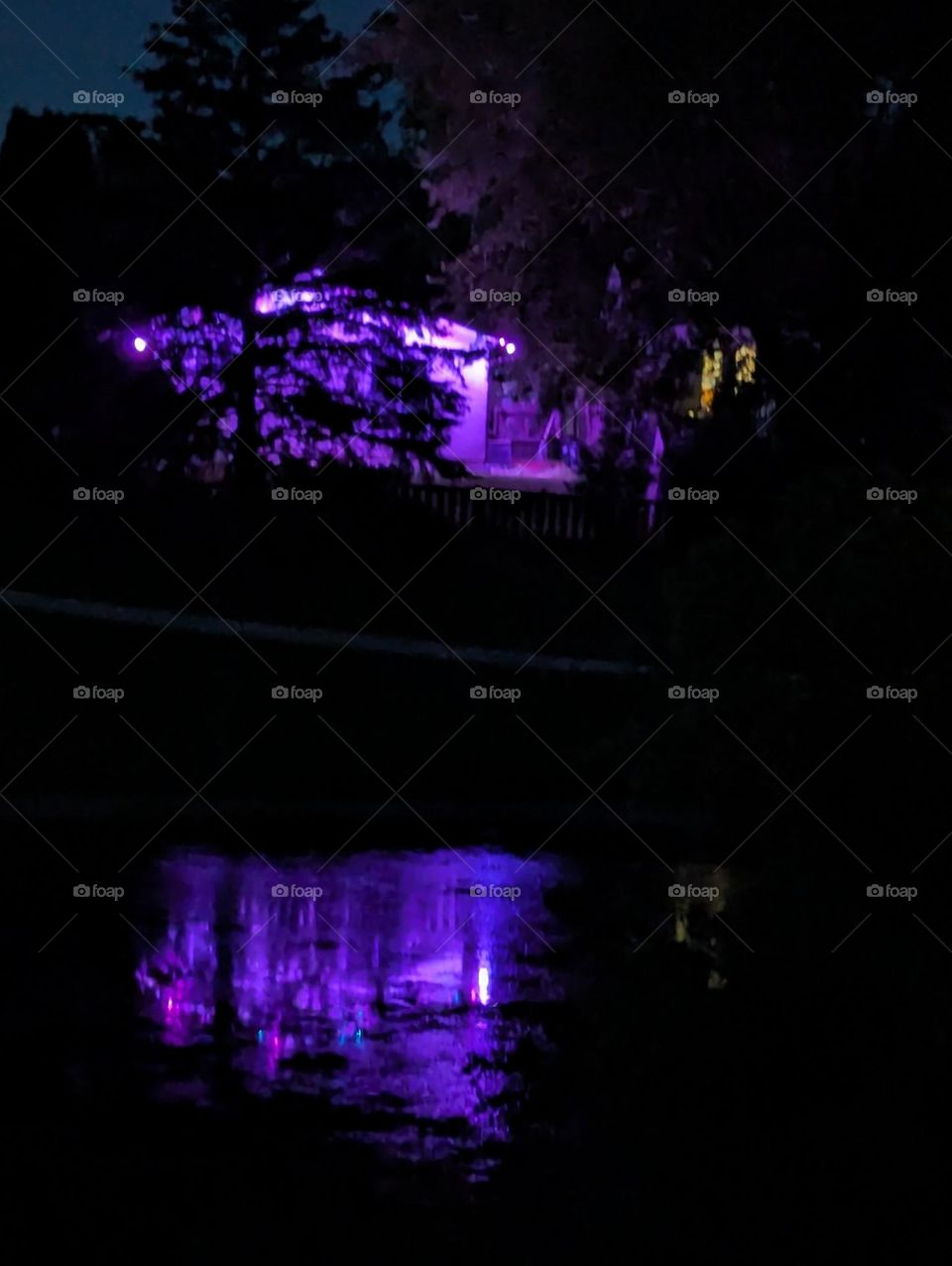 Purple reflection on the pond