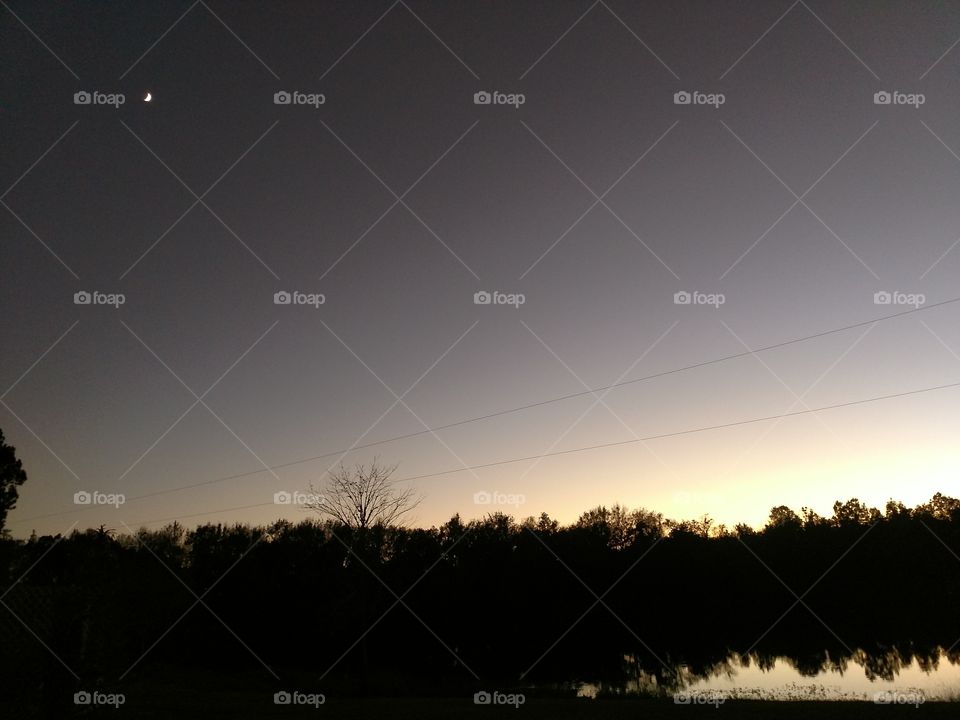 sunset, cresent moon, sky, pond, tree