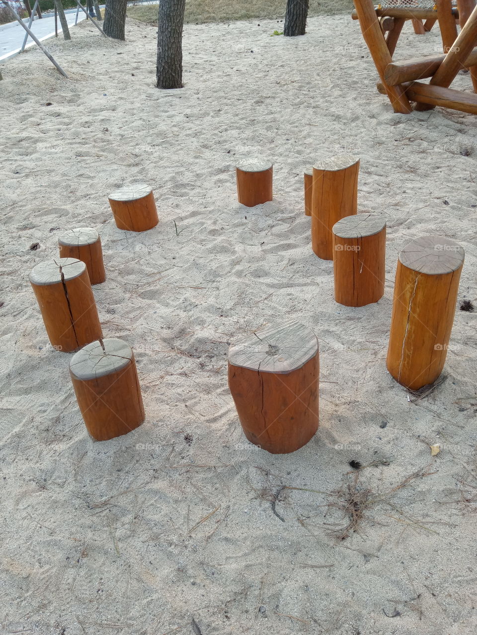 The 10 tree trunks on the sand.
