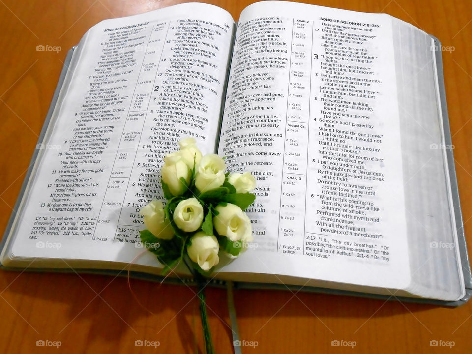 Flowers In Bible