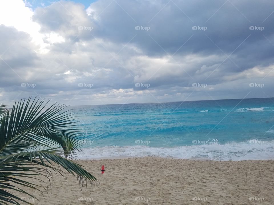 Beach, Sand, No Person, Tropical, Water