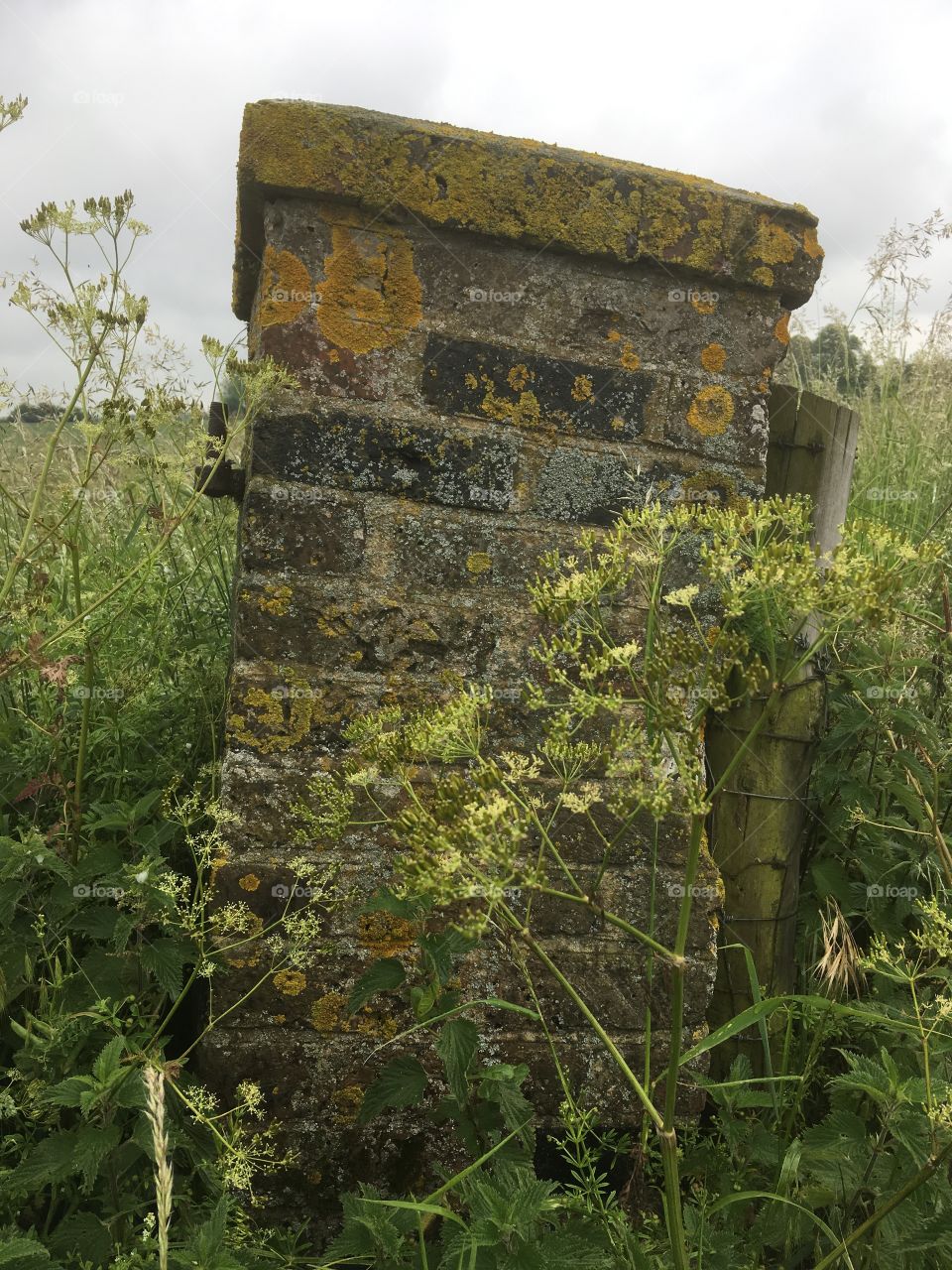 Signs of better days, this an old solid gate post leaning to one side