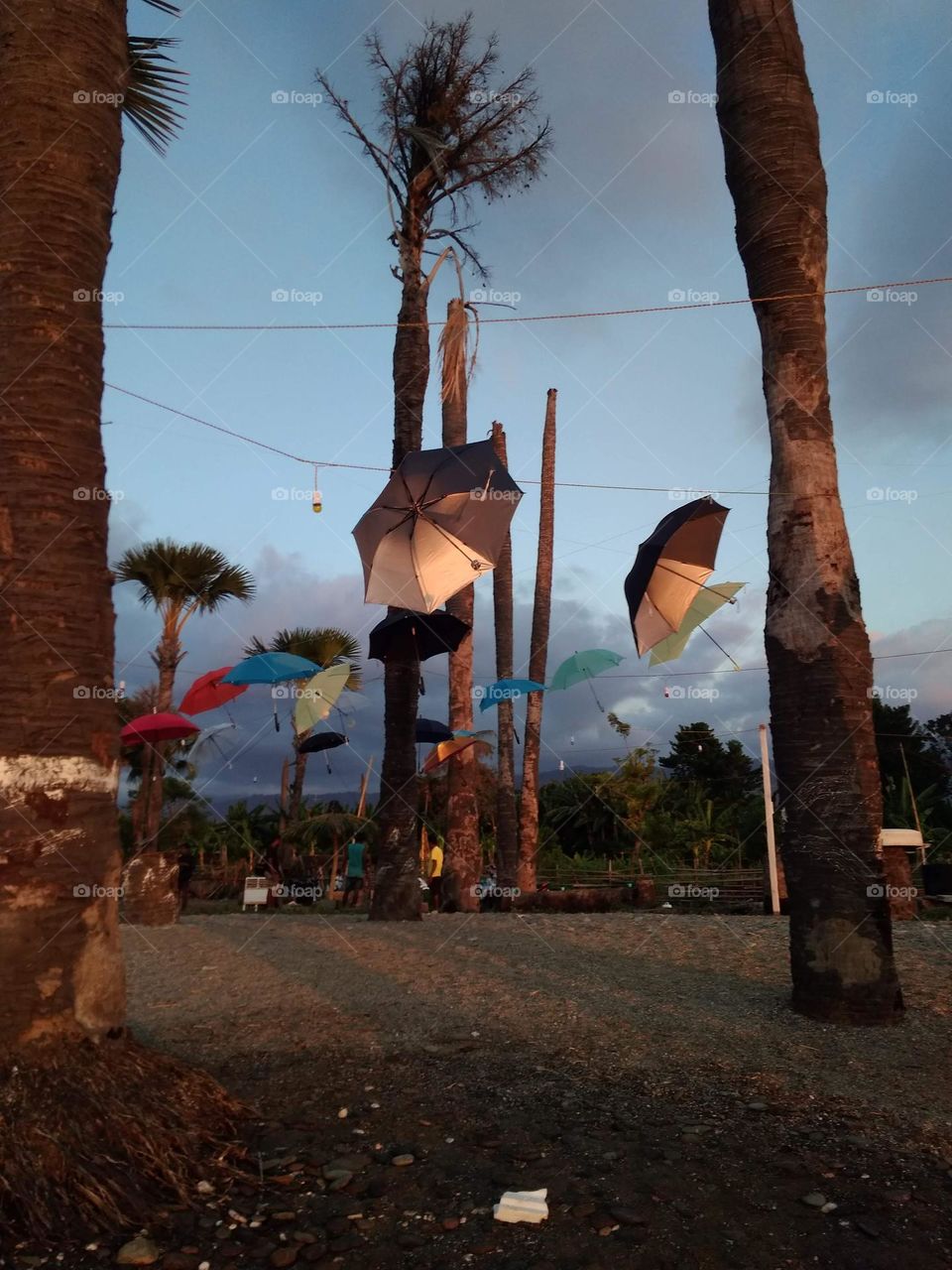 colorful hanging umbrellas by the beach among palm trees