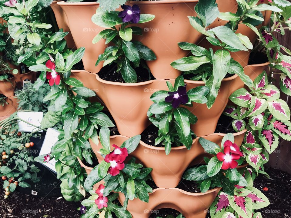 A planter with flowers sprouting out. 