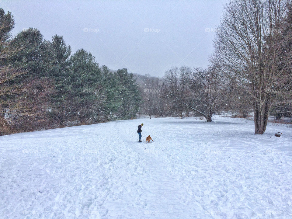 My nephew and my dog are bffs!