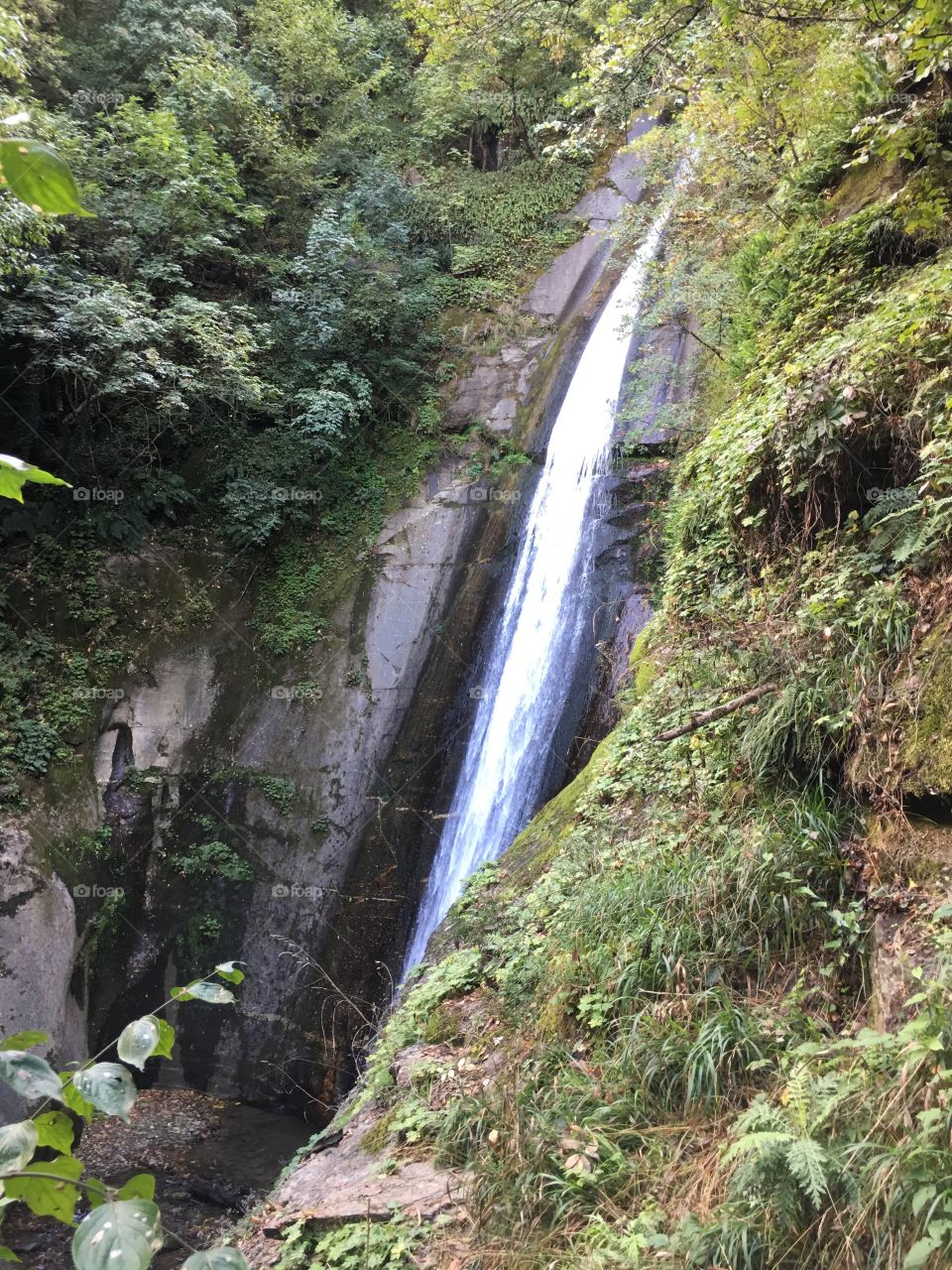 Waterfall in forest