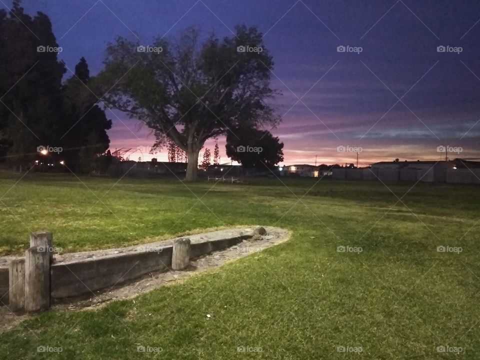 Landscape, Tree, Grass, No Person, House