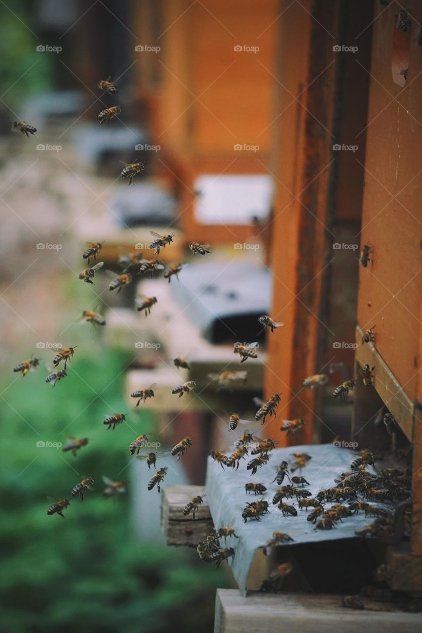 a beautiful gathering