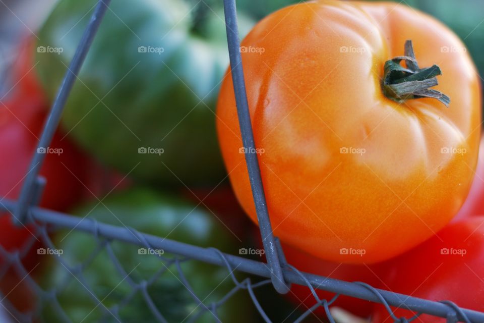 Tomatoes in a basket