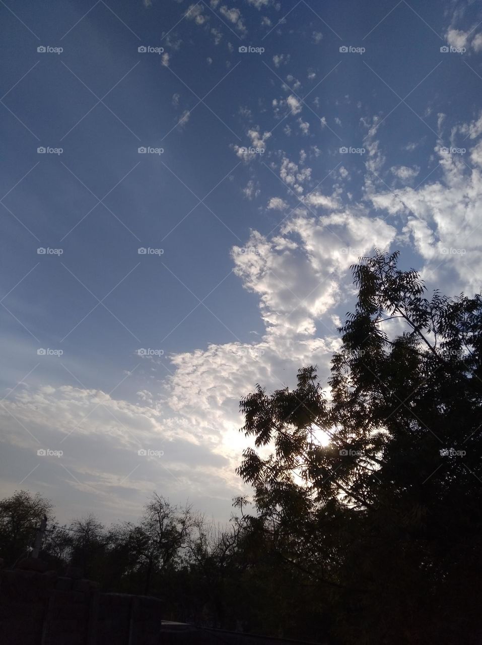 a shiney day white clouds in blue sky whitish cloud scattered dark tree looks very beautiful