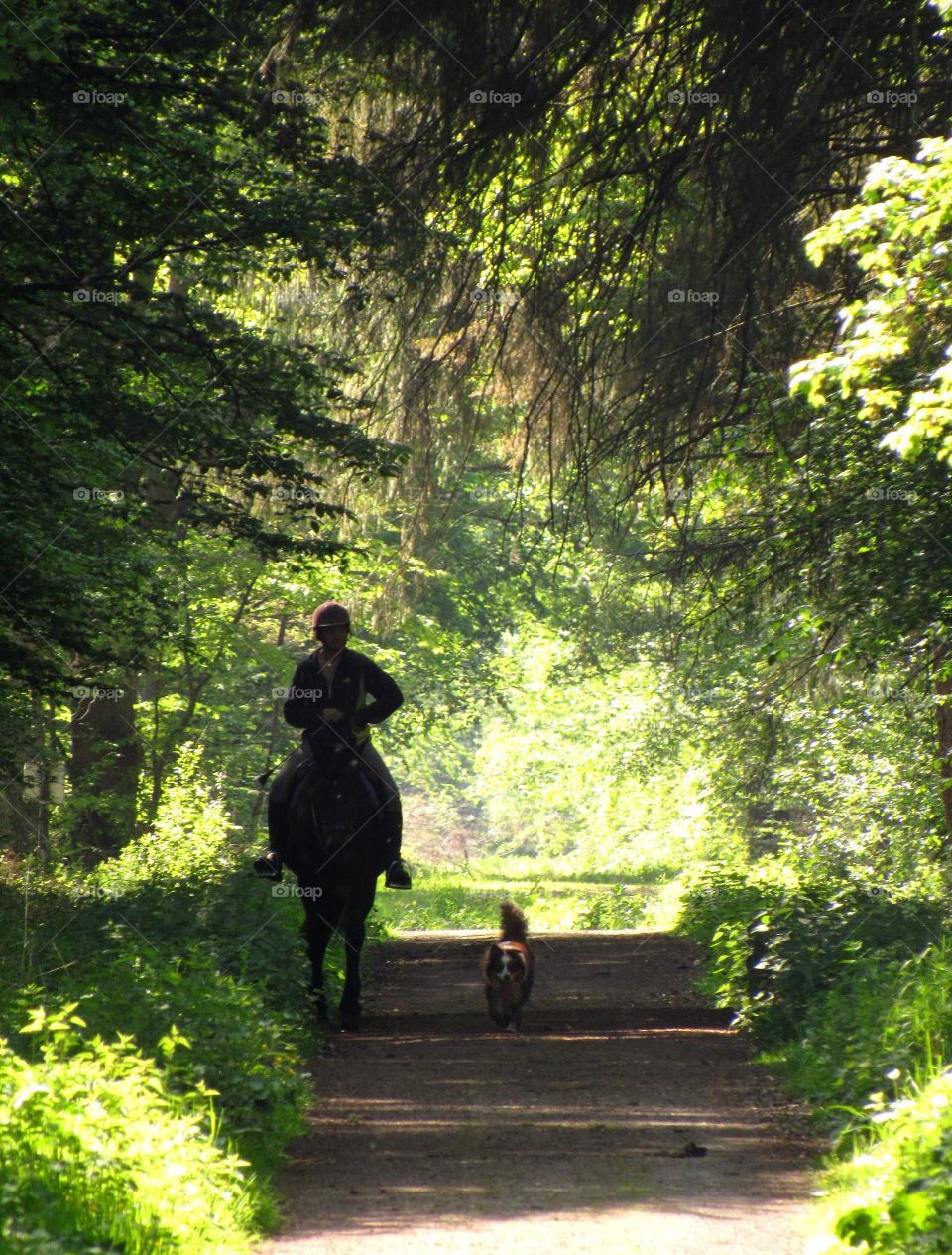 horseriding