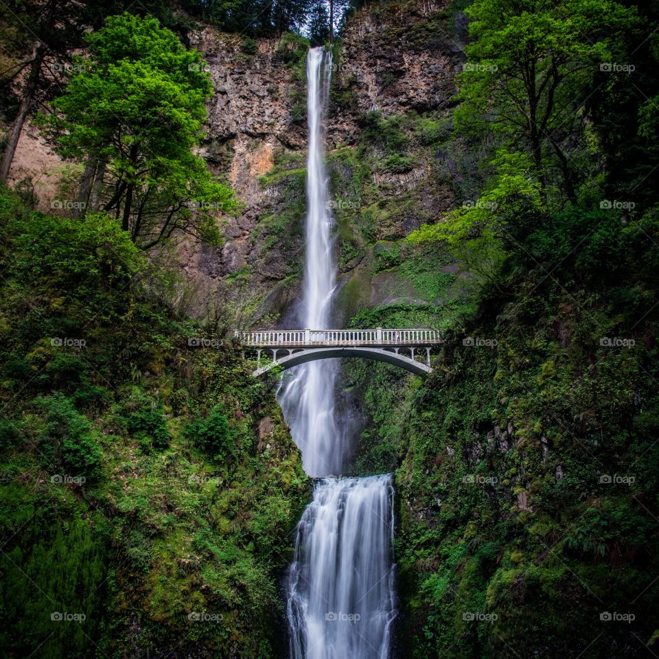 View of Multnomah waterfall