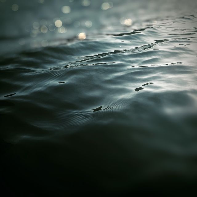 Waves