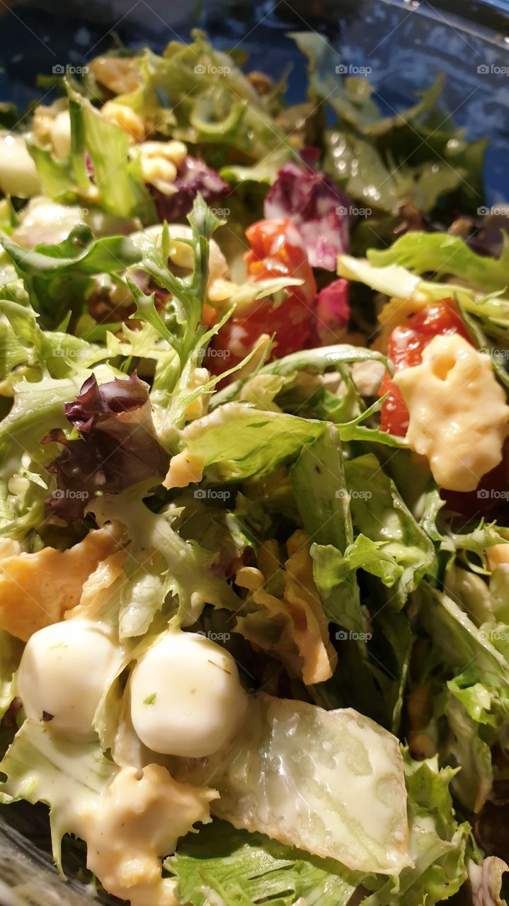 mixed Salad
