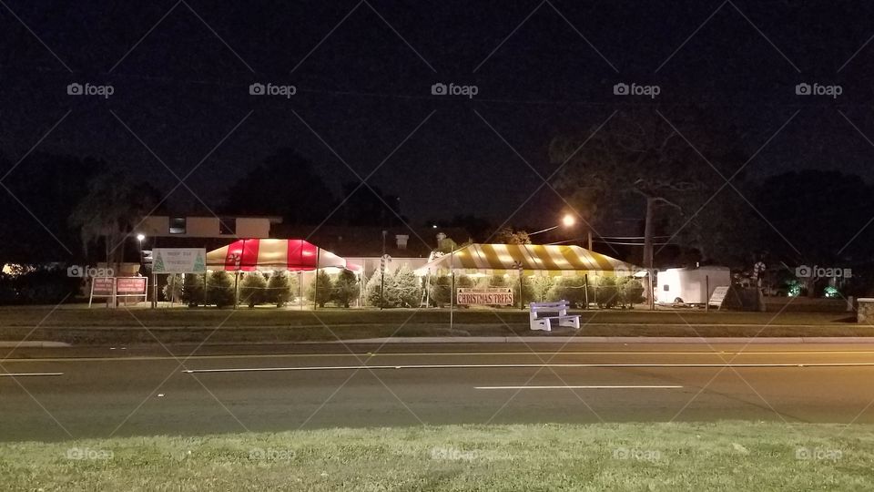 For years I've driven past this Christmas tree lot from thanksgiving until Christmas eve.