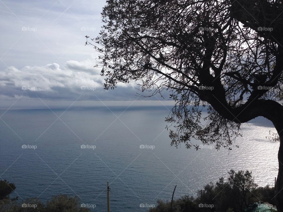 San Apollinare Liguria
