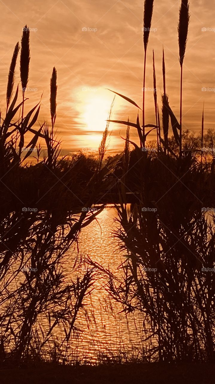 And then this unusual evening continues to the next pic and the sky continues to ripen for what surprises me. 