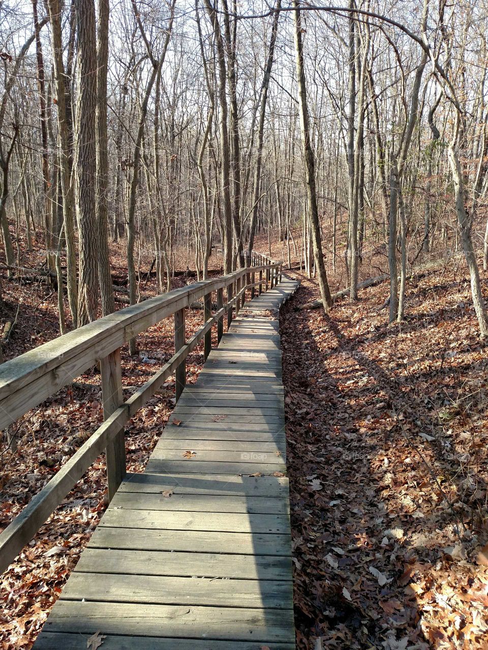 Winter in New Jersey's best parks