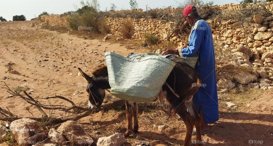 the man with its donkey