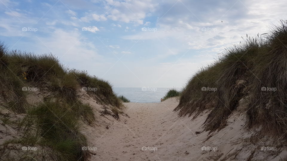 Entrance to a beach in Bornholm. Denmark.