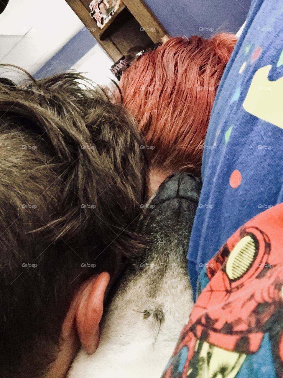 Our little family curled up in the early morning. 