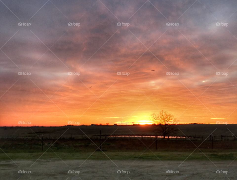 Texas sunrise 