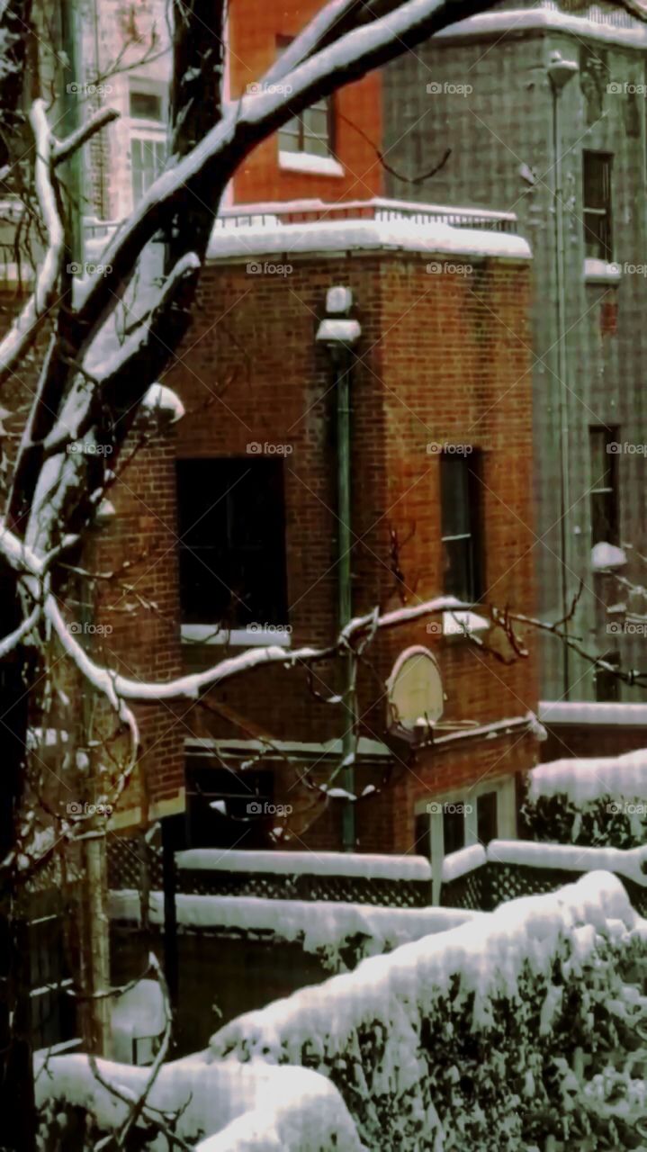 Brownstone Building back yard patios with Snow ❄️