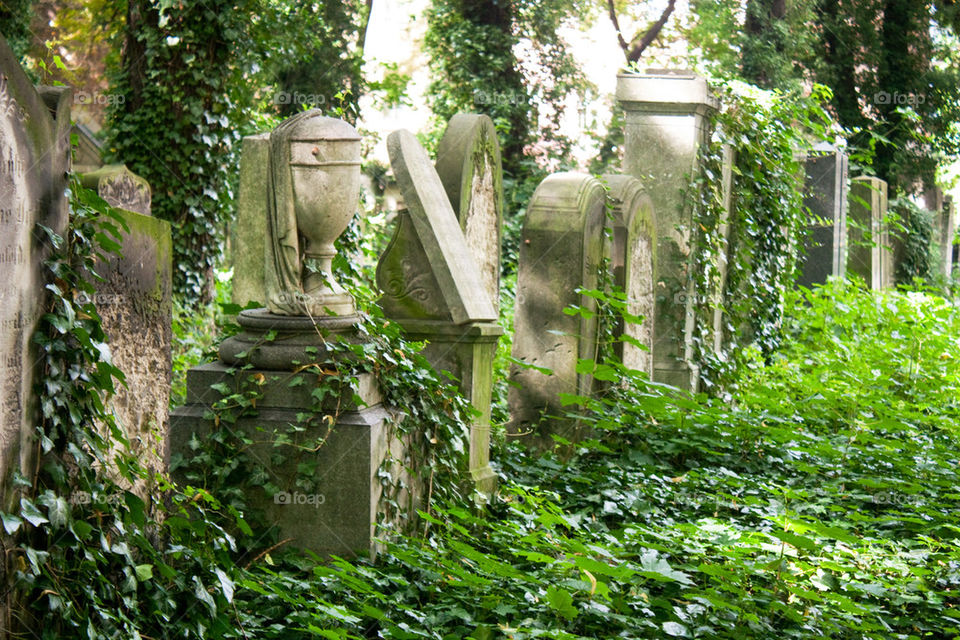 Jewish cemetery