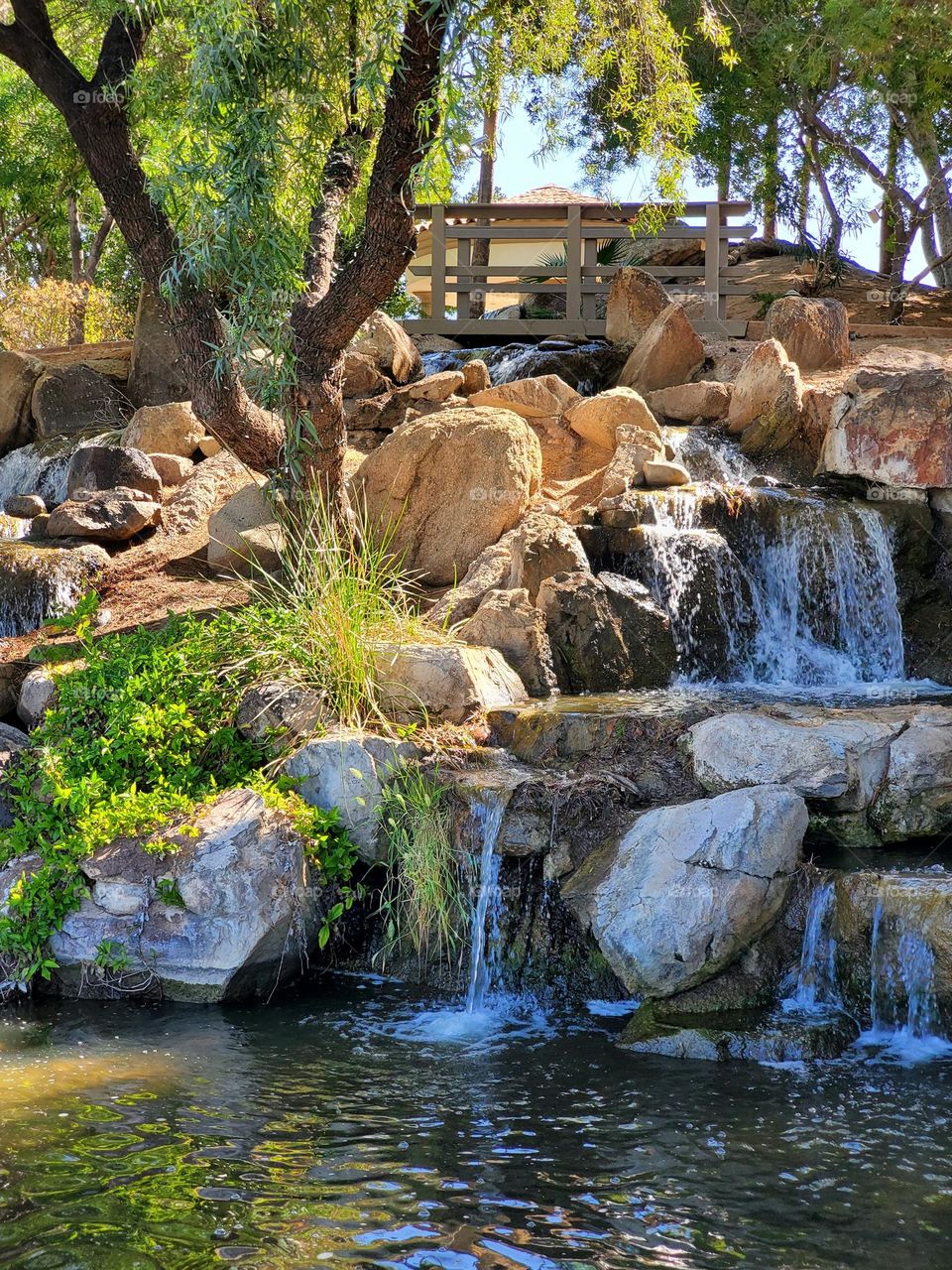 Waterfall in Early Morning Light