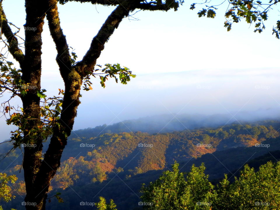 View from up the road