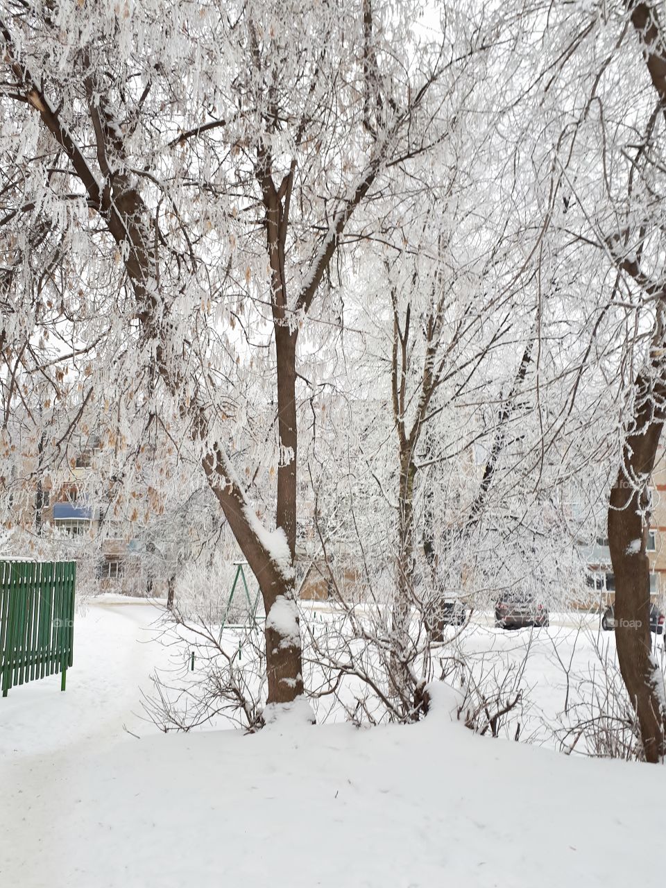 Winter landscape courtyard of the house