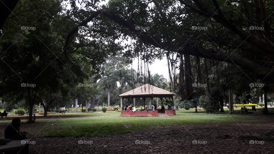 house old in a forest