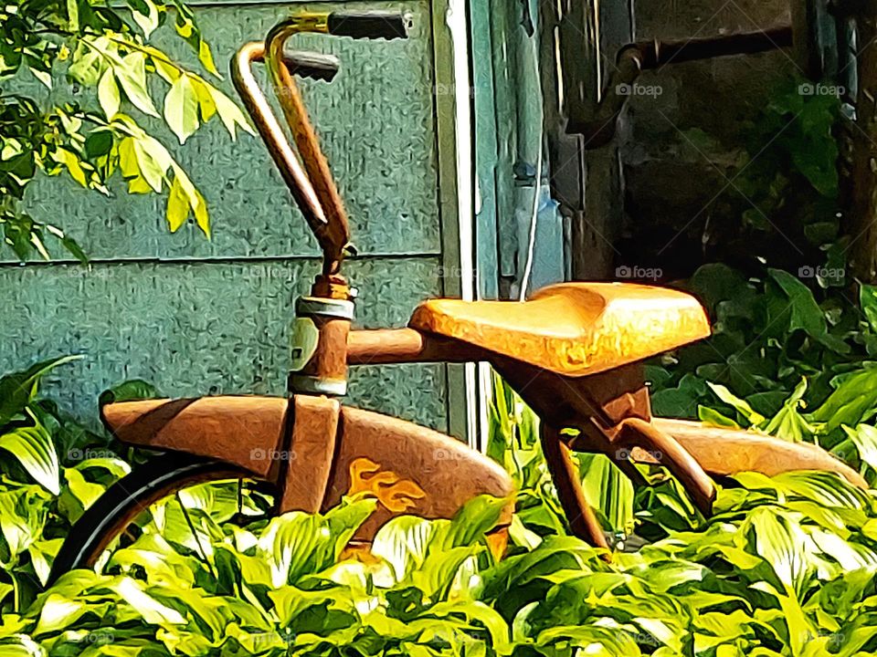 Bicycle Amongst Plants