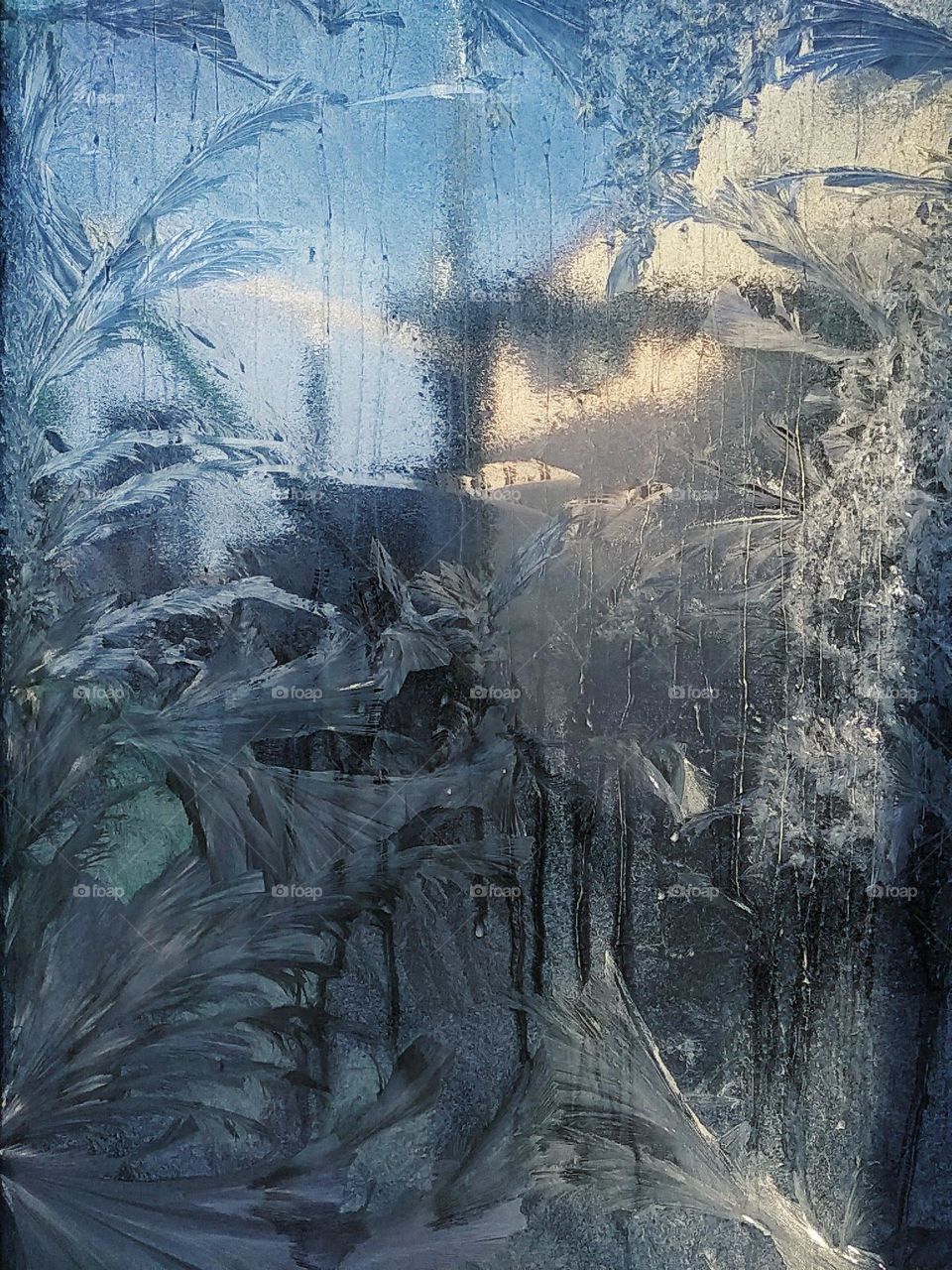 Frost ferns on window. Beautiful winter