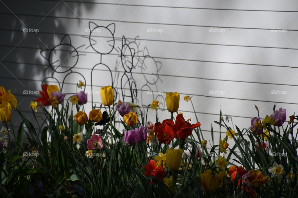 shady tulip garden with wrought iron cats next to white siding