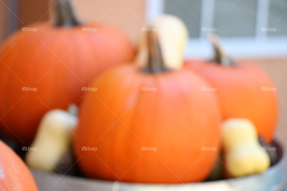 Pumpkin 