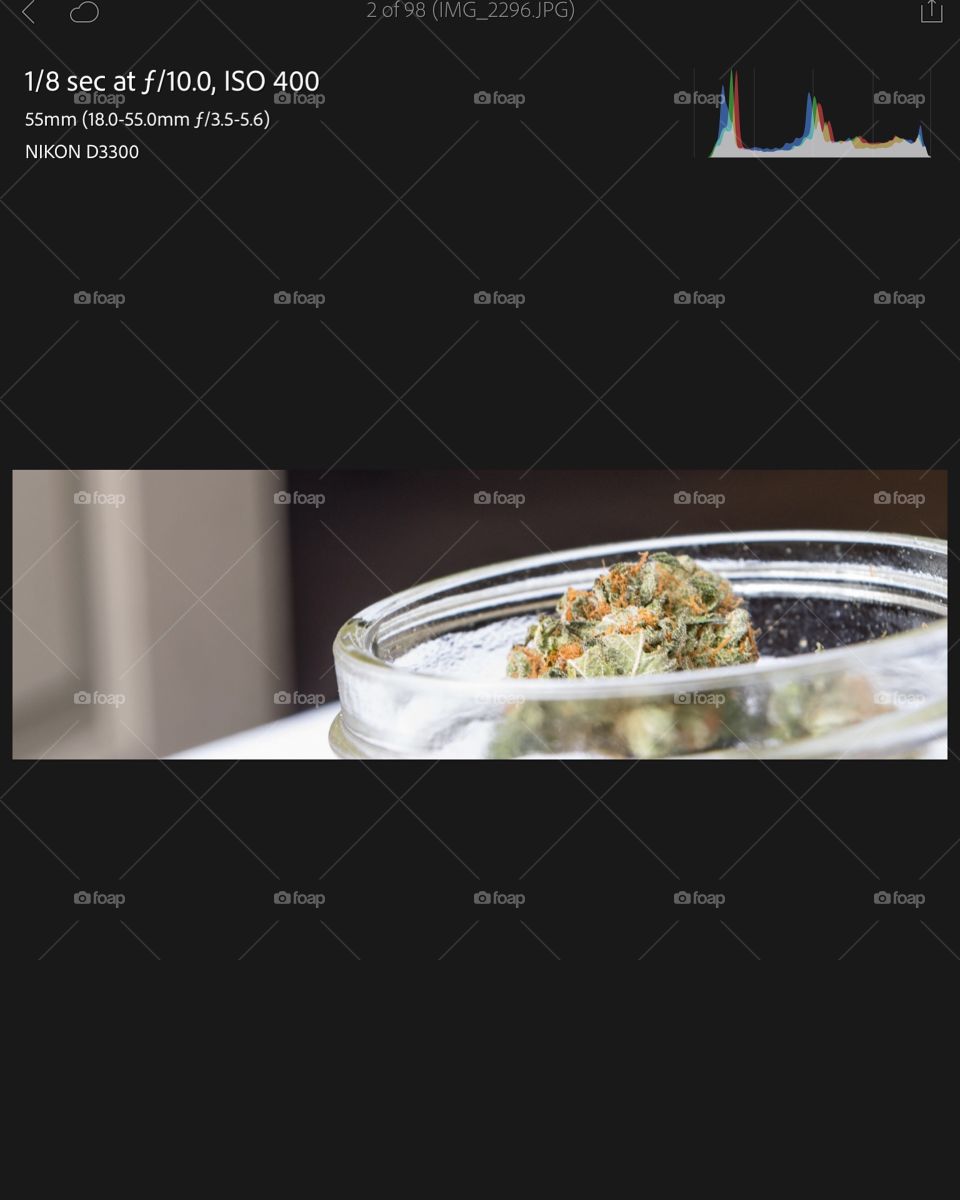 2016 uploads variety of shots