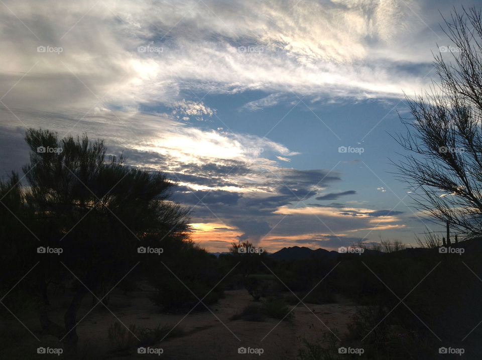 Sunset, No Person, Dawn, Tree, Landscape