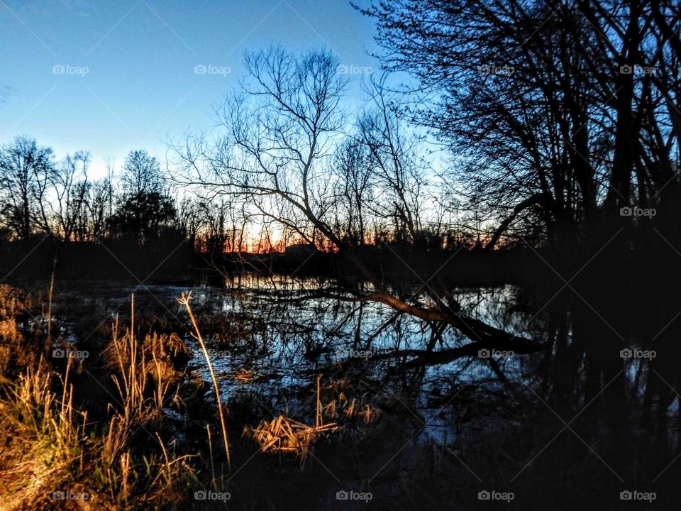 swamp in rural area at sundown