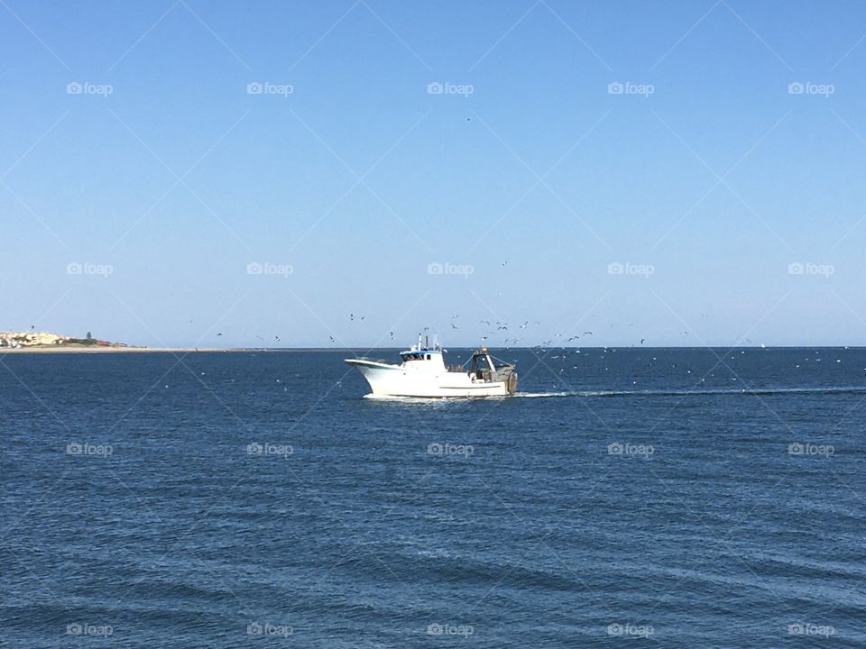 Fisherman boat coming back from ocean with fish and seagulls 