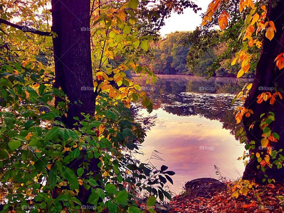 New England fall colors 