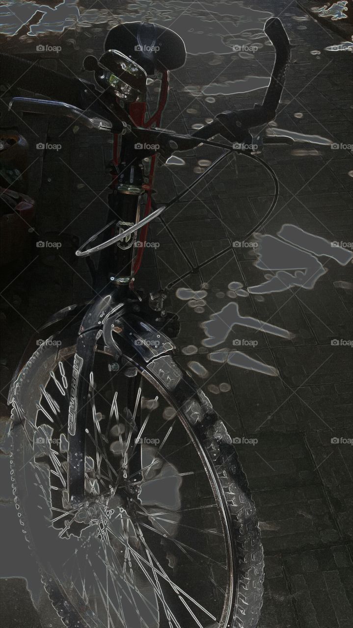 my best friend bicycle