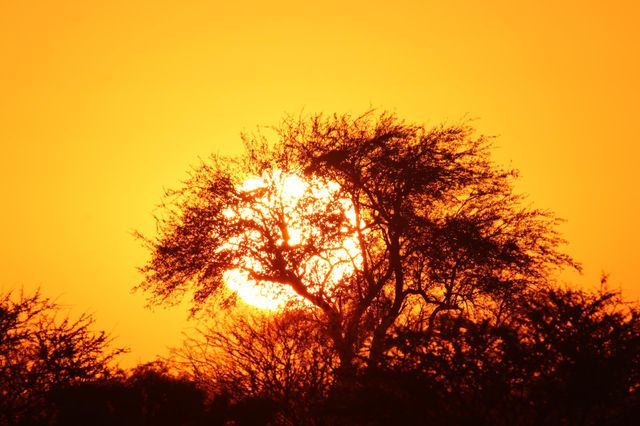 sunset