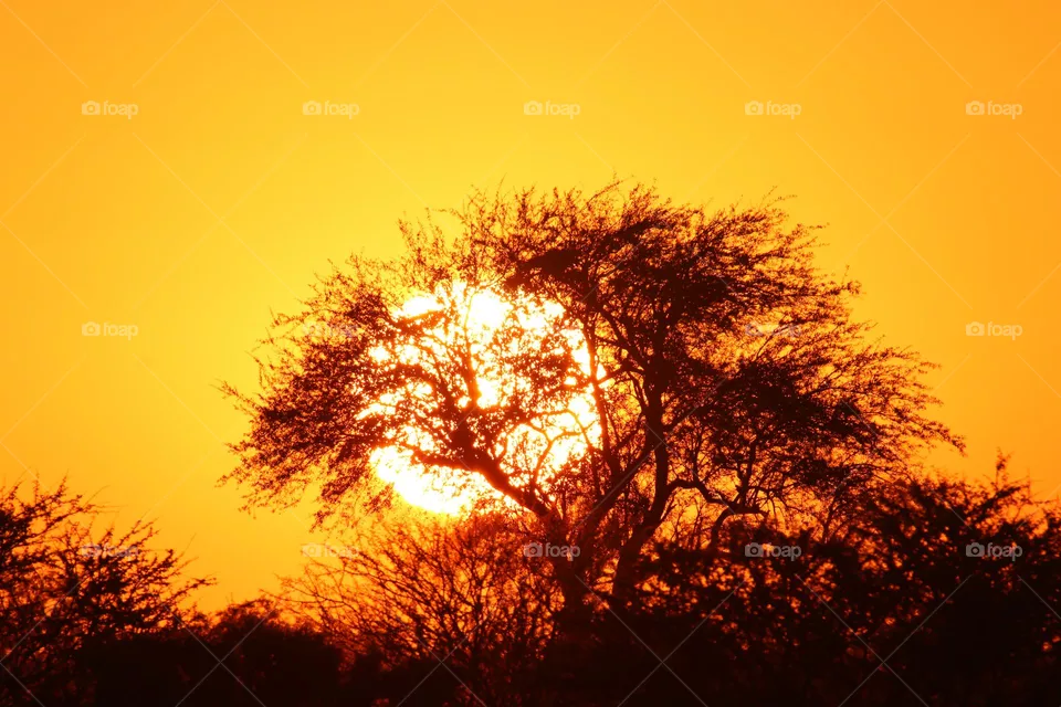 sunset