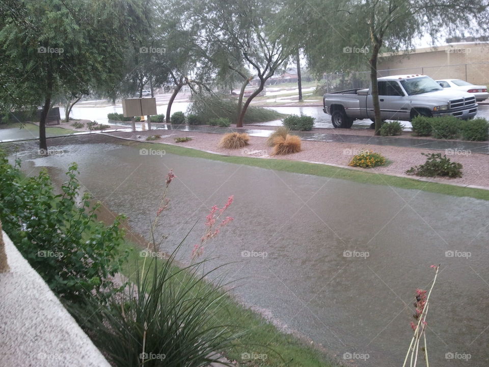 Flooding Phoenix AZ