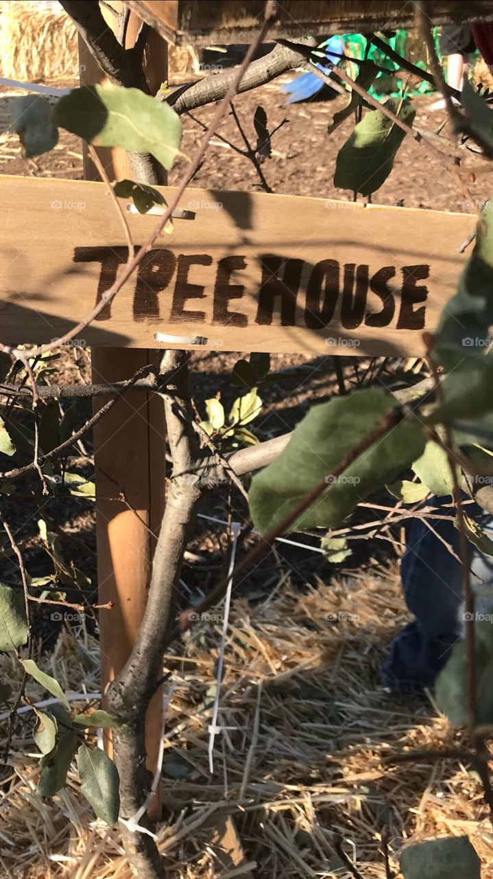 A great find in the woods a children’s tree house made out of hardwood and a sign reading treehouse. USA, America 