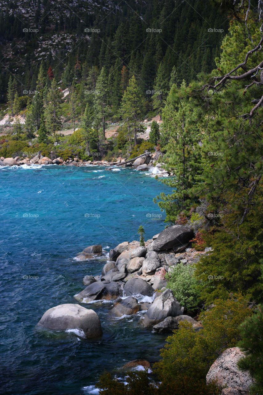 Blue Water of Lake Tahoe